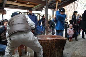 DSC_0032-300x200